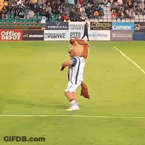 Mascot On Soccer Field In Front Of Comex Sign GIF