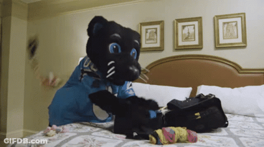 Mascot Packing Luggage GIF
