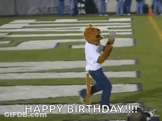 Mascot Running On Football Field Saying Happy Birthday GIF