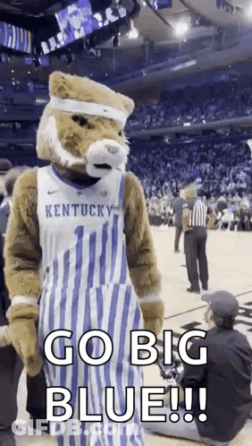 Mascot Saying Go Big Blue GIF
