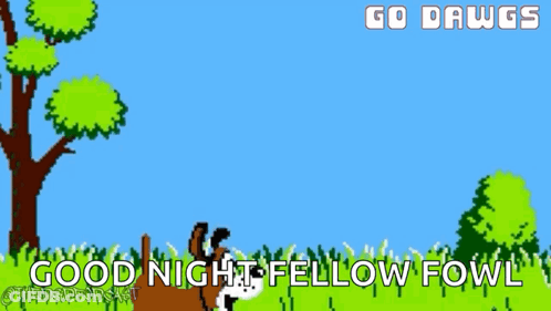 Mascot Saying Go Dawgs In Stadium GIF