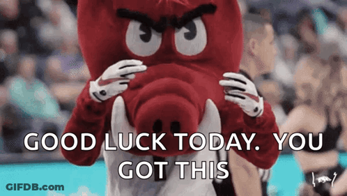 Mascot Saying Good Luck Today You Got This GIF
