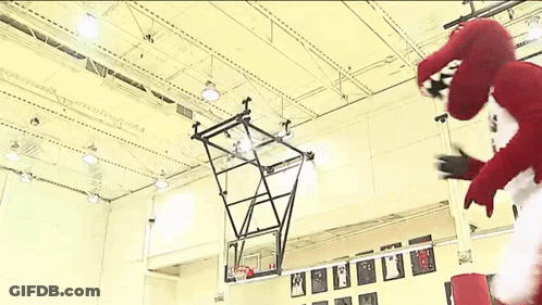 Mascot Standing In Front Of Basketball Hoop GIF