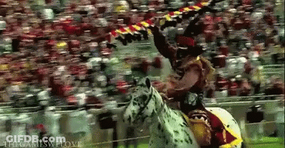 Mascot Standing In Front Of Crowd Saying For The Win GIF