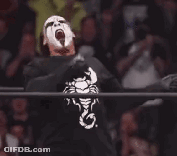 Mascot Sting Wrestling Fight GIF
