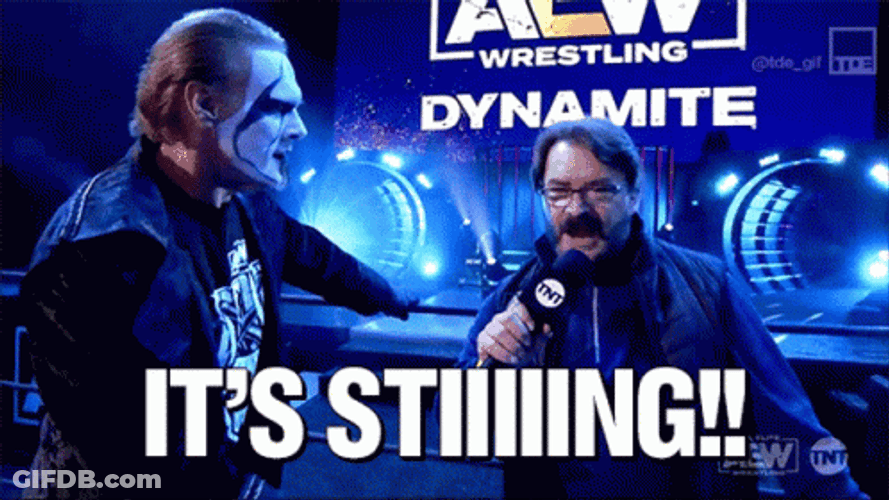 Mascot Sting Wrestling GIF