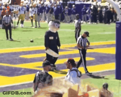 Mascot Walking On Football Field With Referee GIF