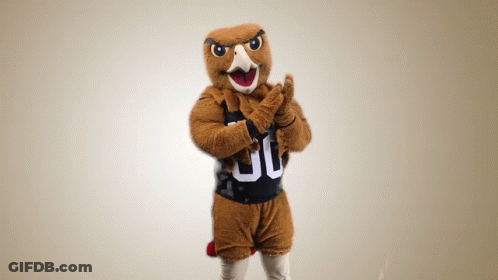 Mascot Wearing Black Jersey Number 30 GIF