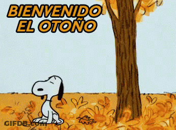Mascot Wearing Community Trust Shirt GIF