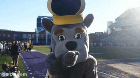 Mascot Wearing Crown On Purple Field GIF