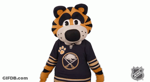 Mascot Wearing NHL Jersey GIF