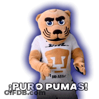 Mascot Wearing Pumas Shirt Saying Puro Pumas GIF