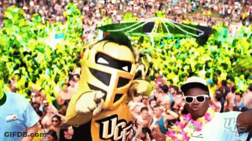 Mascot Wearing Sunglasses And Lei In Front Of Crowd GIF