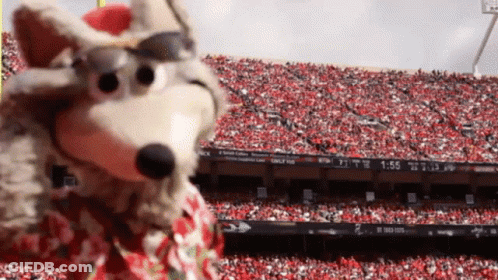 Mascot Wearing Sunglasses In Front Of Crowd At Sports Game GIF