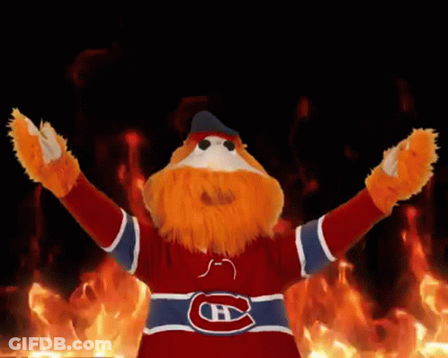 Mascot With Beard Wearing Montreal Canadiens Shirt GIF