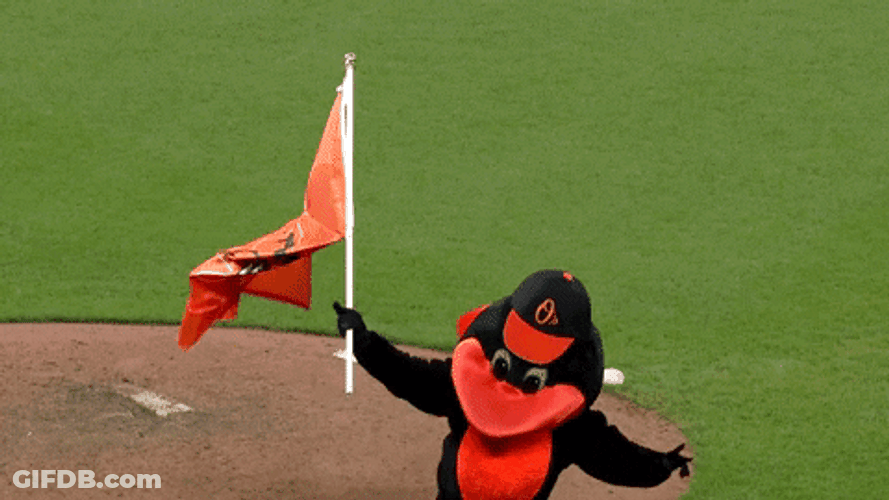 Mascot With Flag Orioles Win GIF