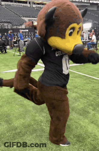 Mascot With Number 1 On Shirt Standing On Field GIF