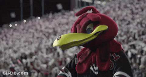 Mascot With Yellow Beak Wearing NC Jersey GIF