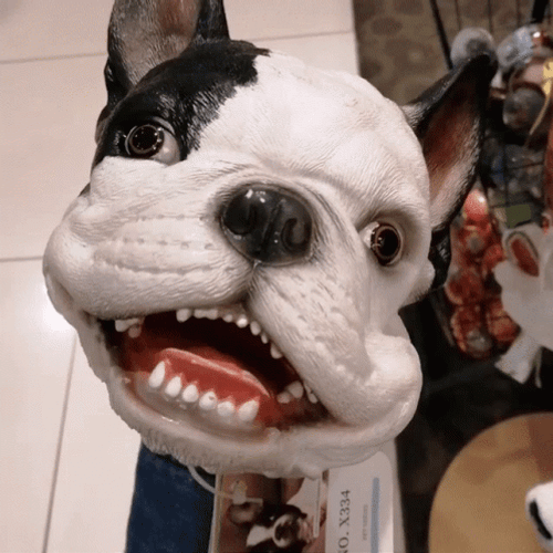 Mask French Dog Barking GIF