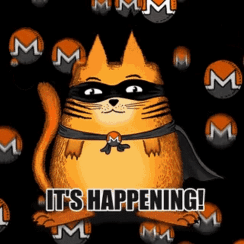 Masked Cat It's Happening GIF
