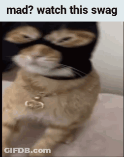 Masked Cat With Necklace Mad? Watch Swag GIF