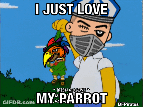Masked Man Holding Parrot I Just Love My Parrot GIF