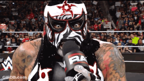 Masked Wrestler Holding Microphone Saying Raw GIF
