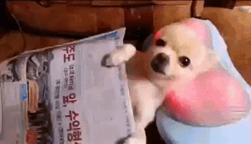 Massage Pillow Head Puppy GIF
