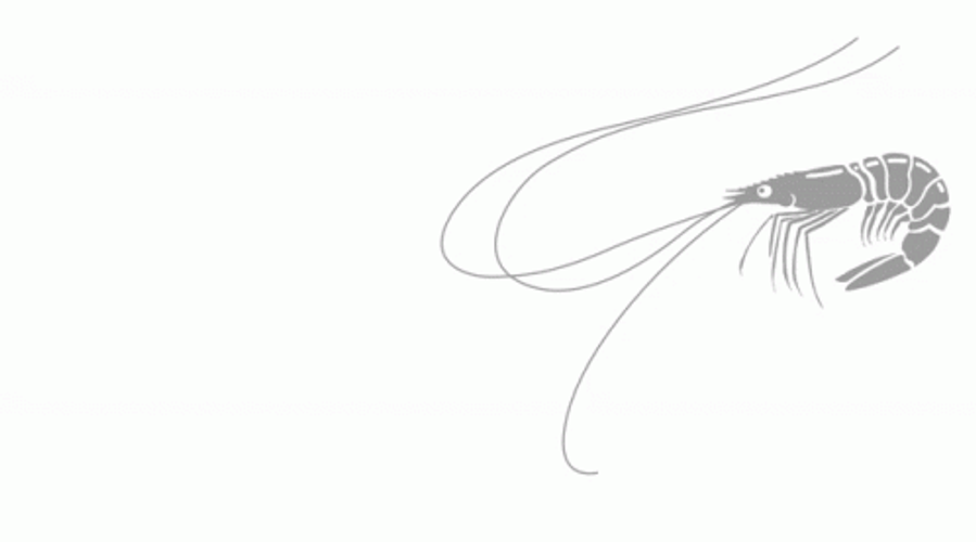Mastai Shrimp Animation GIF