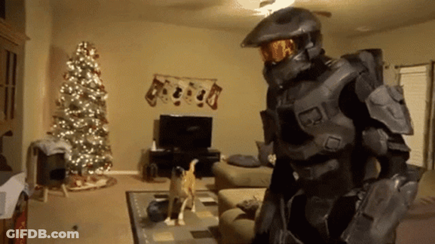 Master Chief Scared The Dog GIF