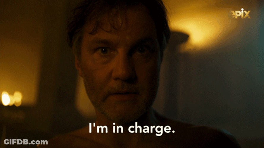 Master I'm In Charge GIF