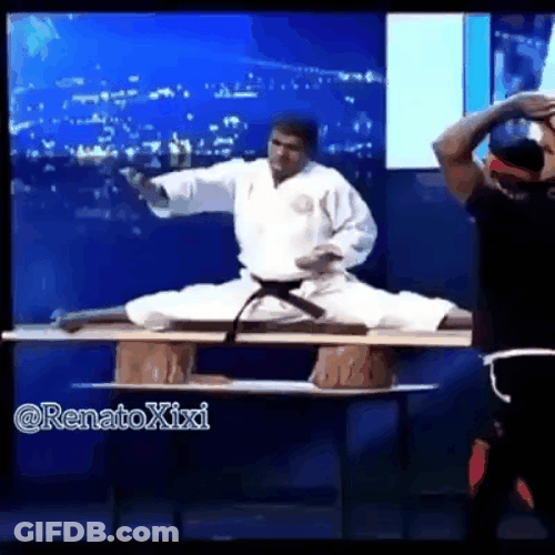 Master Martial Artist Fail GIF