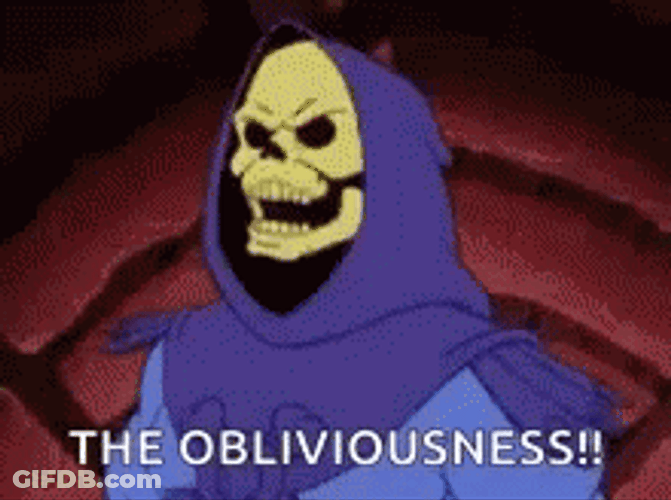 Master Of Evil Skeletor The Obliviousness GIF
