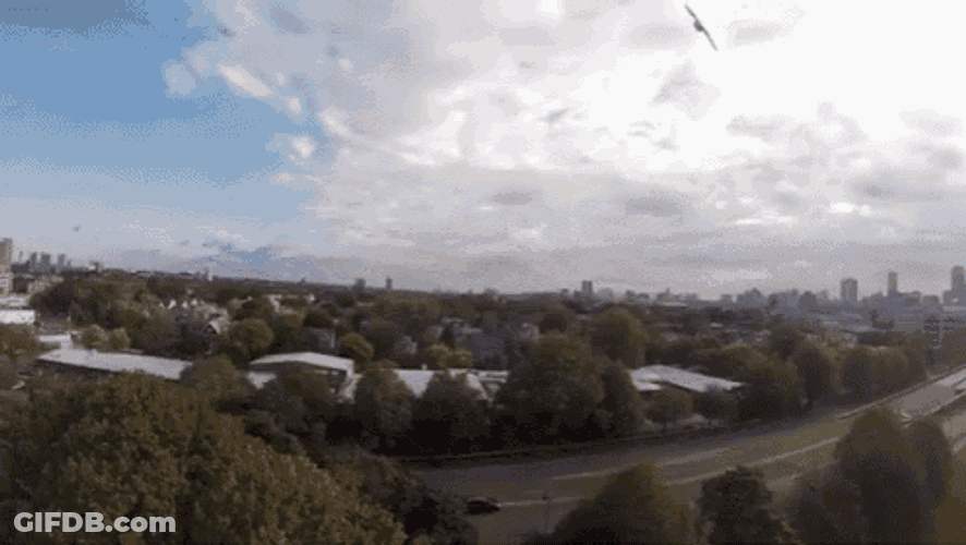 Master Of The Sky GIF