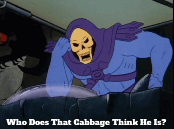 Master Of The Universe Skeletor Upset By Cabbage GIF