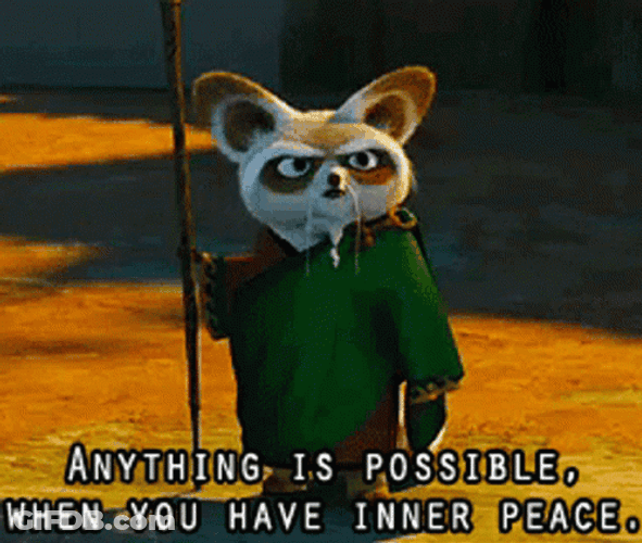 Master Shifu Anything Is Possible GIF