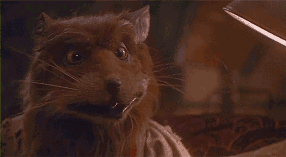 Master Splinter Facepalm Not Again Problem GIF