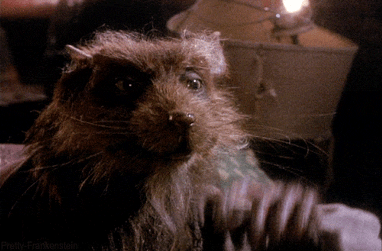 Master Splinter Facepalm Oh No GIF