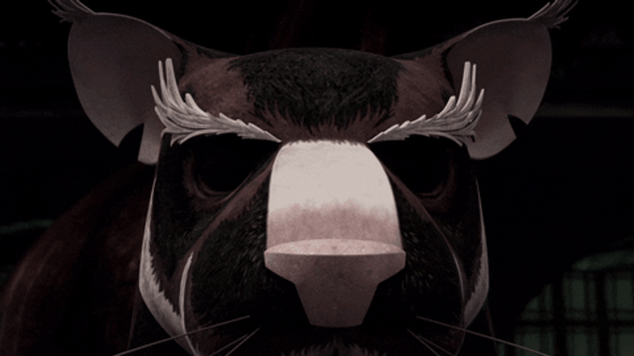 Master Splinter TMNT Awaken Realization GIF