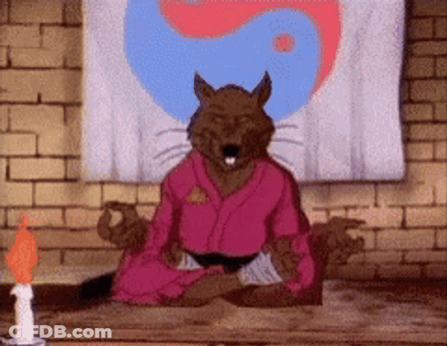 Master Splinter TMNT Floating Meditation GIF