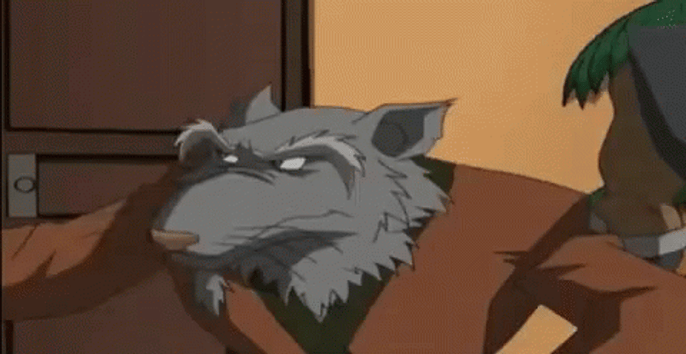 Master Splinter TMNT Knows You're There Back Fist GIF