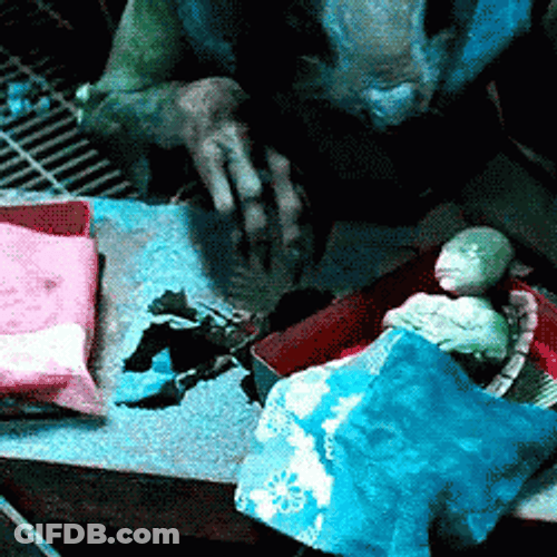 Master Splinter TMNT Taking Care Of Baby Turtles GIF