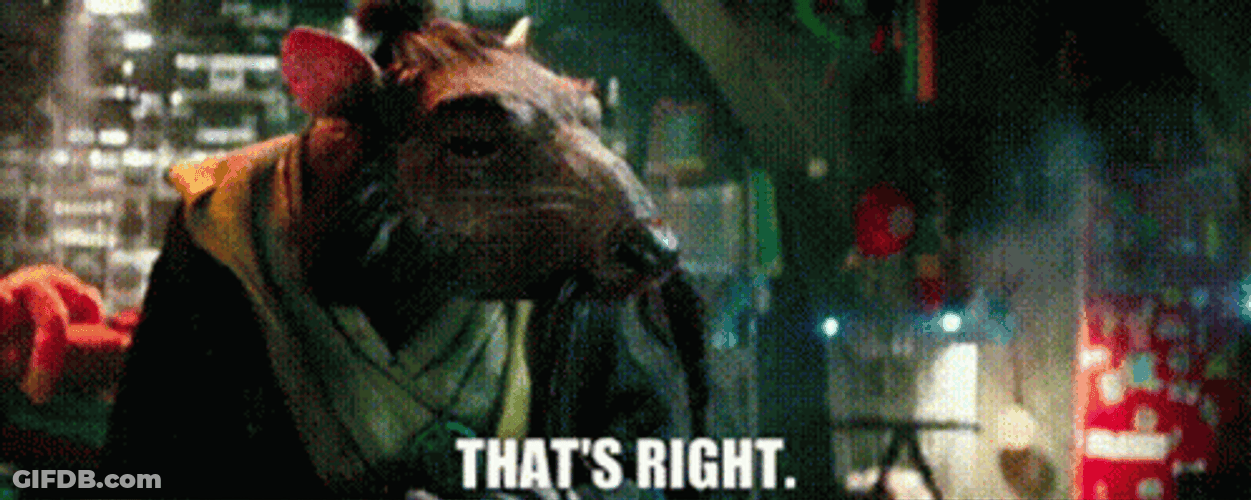 Master Splinter TMNT That's Right Correct GIF
