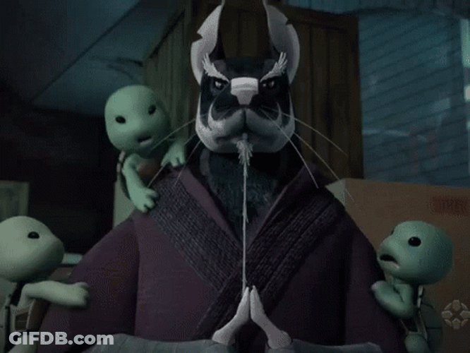 Master Splinter TMNT Trying To Meditate With Babies GIF