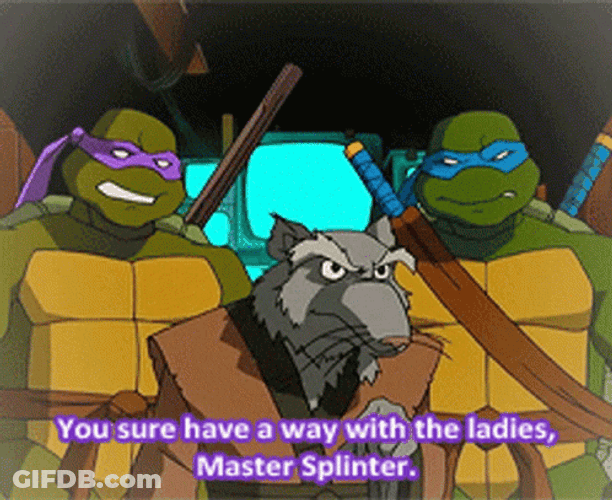 Master Splinter TMNT Way With The Ladies GIF