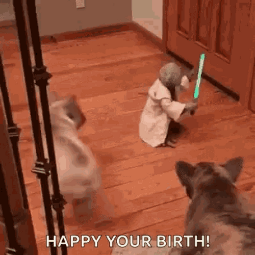 Master Yoda Happy Birthday Meme GIF