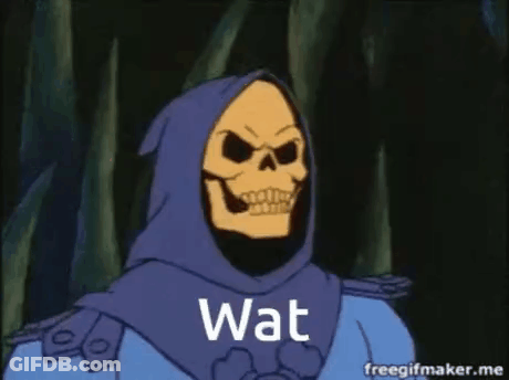 Masters Of Universe Skeletor In Hood Says Wat GIF