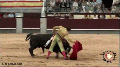 Matador Fighting Bull With Red Cape GIF