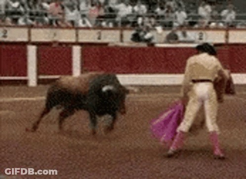 Matador Slaughtering Bull With Pink Cape GIF