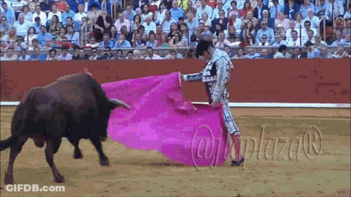 Matador Slaughtering Bull With Plaza Text GIF